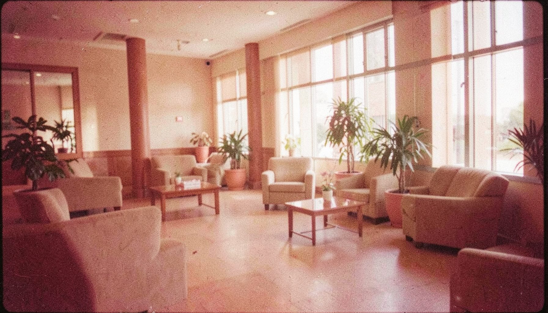 Grainy film image of a quiet hotel lobby with beige furnishings, potted greenery and diffused daylight